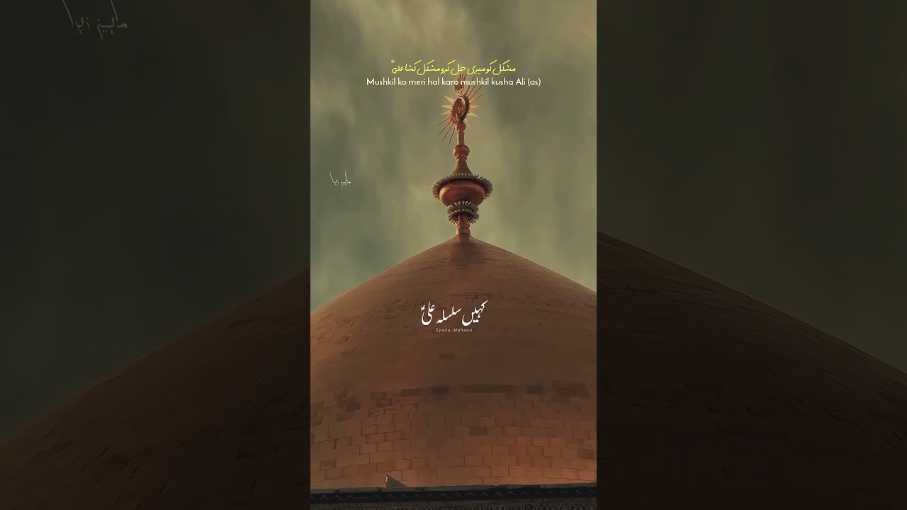 Mushkil Ko Meri Hal Karo Mushkil Kusha Ali (as) 🥺❤️&zwj;🩹 | Raza Abbas Zaidi noha status video | Ya Ali
