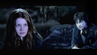 Harry + Ginny ● Something worth fighting for