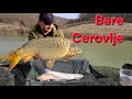 BARE CEROVLJE! LUDILO OD PECANJA-- 24 RIBE U 10H