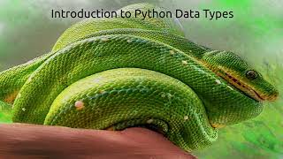 Learn to walk in Python and understand its data types