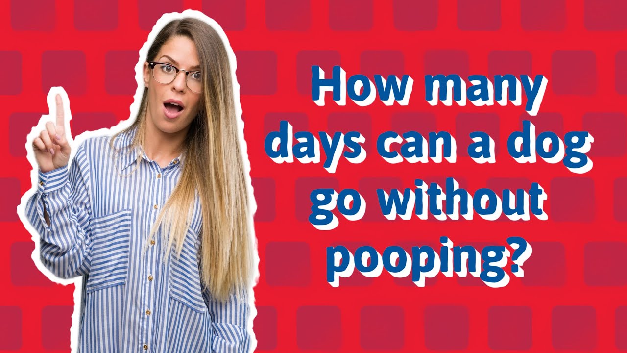 How Many Days Can A Dog Go Without Pooping Youtube