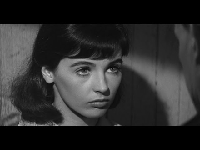 Il Diario Di Anna Frank Film 1959 Streaming