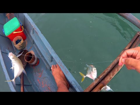 ვიდეო: თევზის ლიავანგი
