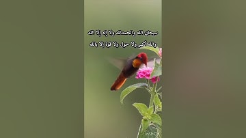 تلاوة خاشعة جميلة/طيور وطبيعة(سبحان الله وبحمده سبحان الله العظيم )