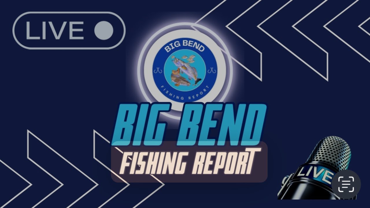 Big Bend Fishing Report- November 20, 2025