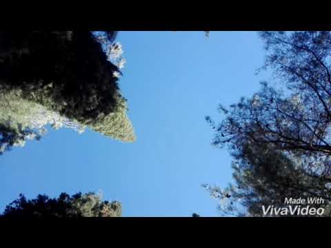 MTB Riders Μ.Ο.Μ.Α