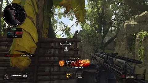 COD: BLACK OPS 4*Heist Dart Glitch