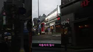 월드드림랜드 영상