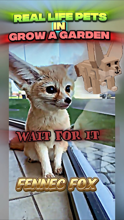 Real Life PETS in Grow a Garden #growagarden #roblox #shorts