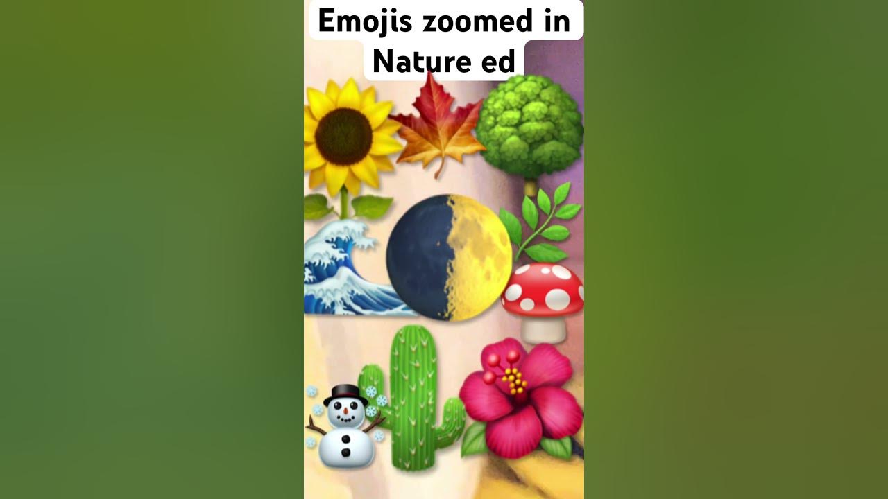 Emojis zoomed In pt1 nature ed emojis used 🌓🌺☃️🍄🌳🌻🌊🌿🍁🌵 YouTube