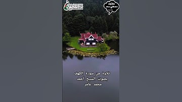 تلاوة جميلة بصوت احمد محمد عامر  #تلاوات #اكسبلور #ترند #لايك #حالات #reels #foryou #trending