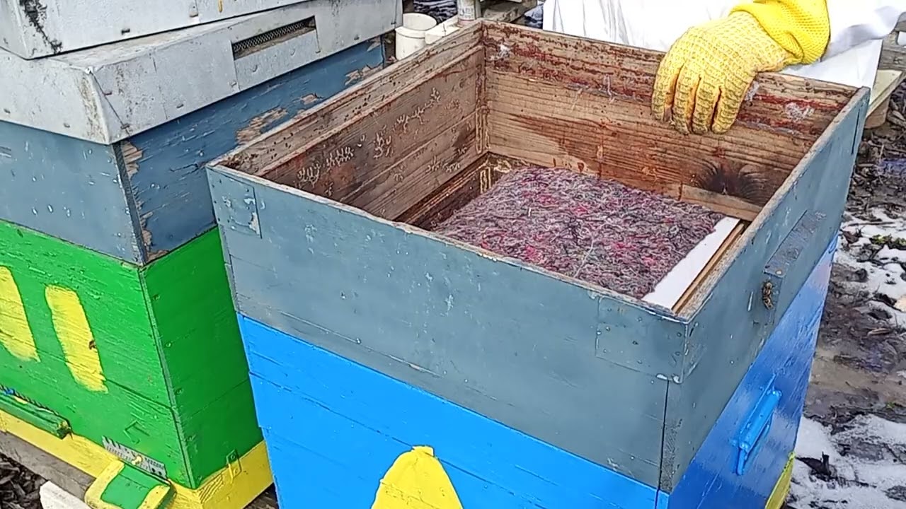 Verificarea vizuala a albinelor 