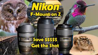 Nikon F-Mount in 2026 - Do F-mount lenses still make sense in 2026 for Nikon Z cameras
