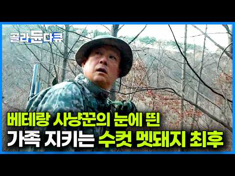 정면으로 마주치면 바로 사망! 200kg 육박하는 멧돼지를 잡는 사냥꾼의 전략｜따라다니느라 숨 넘어가는 제작진｜멧돼지와의 전쟁｜극한직업｜#골라듄다큐