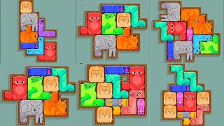 Puzzle Cats - Gameplay Walkthrough Part 1 - Levels 1-10 (Android, iOS) screenshot 3