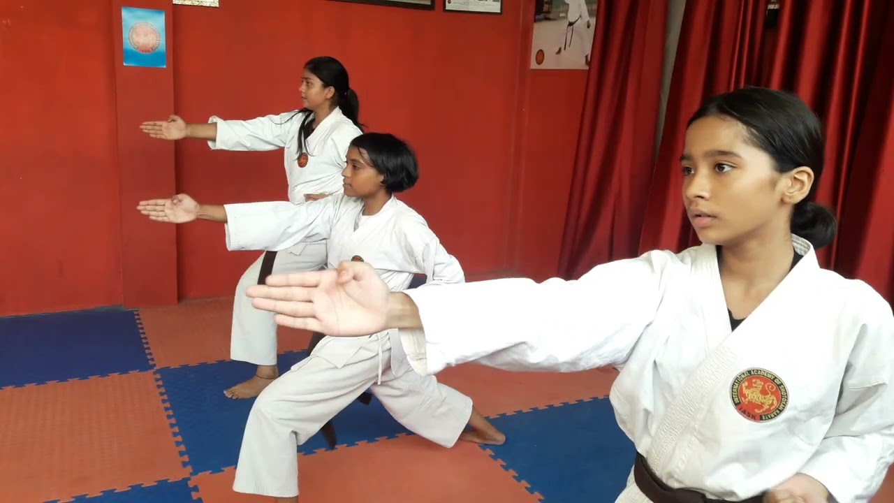Black Belt Shodan Kihon Training under Sensei Ravindra Kumar