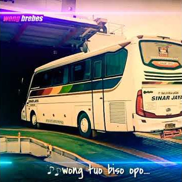 story wa 30 detik lagu Tepung kanji || po. sinar jaya group losssssss...