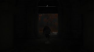 ELDEN RING | Horse summon death bug