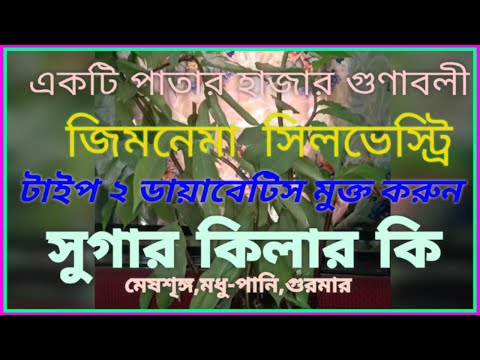 জিমনেমা সিলভেস্টার কি - WHY TV Rajdeep Mazumder