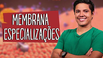 Quais são as especializações da membrana plasmática?