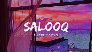 Salooq [Slowed   Reverb] - B Praak | Jaani | Moh | Text Audio | Vikram Music