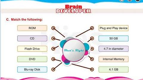 Std IV  Lesson 2  Memory and Storage Exercise