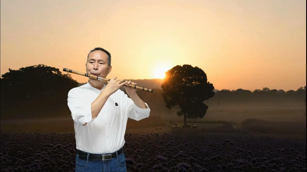 回到天邊的故鄉 笛子獨奏 琴臺樂坊 回到天邊的故鄉 笛子獨奏 琴臺樂坊