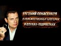 Евгений Понасенков о невежественных блогерах и олухах-подростках