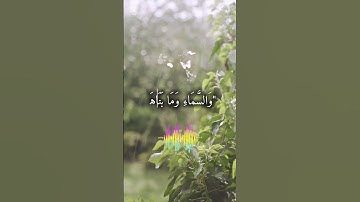 من أجمل التلاوات التي خشعت لها النفوس القارئ الشيخ عبد الباسط عبد الصمد
