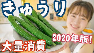 【きゅうりを大量消費２】5分で作れる超簡単3品！夏にぴったりレシピでもう困らない！