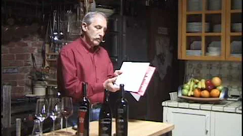 Shape of Wine 1 - RED REX