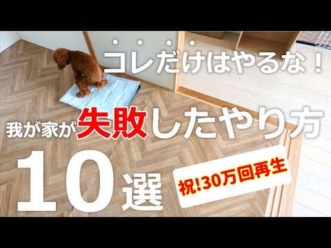 【トイレトレーニング/第5回】経験したから分かる子犬時の失敗を全てまとめました!