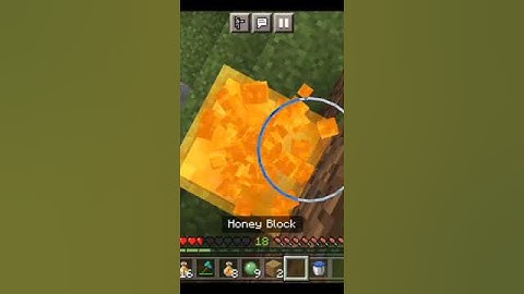 slime block + Honey block clutch