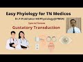 Gustatory Transduction
