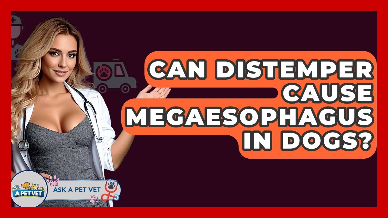 Can Distemper Cause Megaesophagus In Dogs? - Ask A Pet Vet