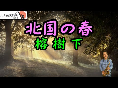 北国の春-榕樹下(Bb)_-凡人薩克斯風/朝陽演奏