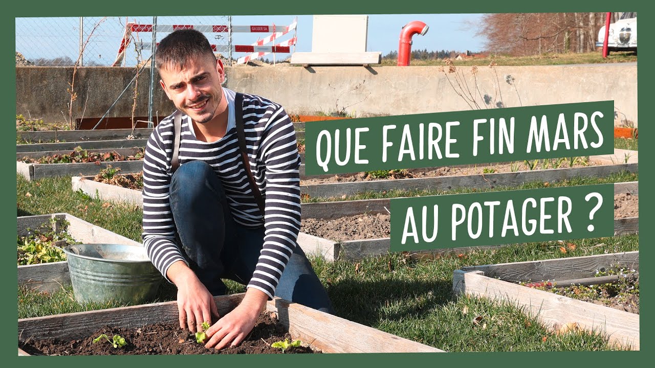 Que faire fin mars au potager ?