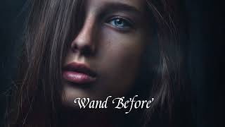 ADIK - Wand Before (Extended Mix)