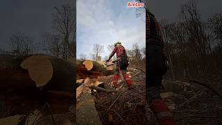 STIHL MS 400.1 C-M vs. hrubý buk 💪🪵| STIHL MS 400.1 C-M vs. thick beech 💪🪵