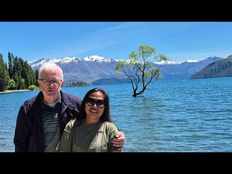 Walking around Wanaka tree#newzealand#travel#tour