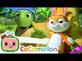 The Tortoise and the Hare + Three Little Pigs! | CoComelon Nursery Rhymes &amp; Kids Songs