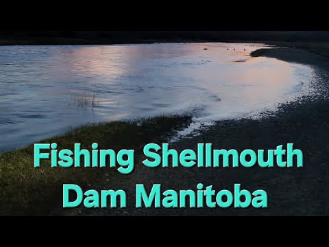 Fishing Shellmouth Dam Manitoba. - YouTube
