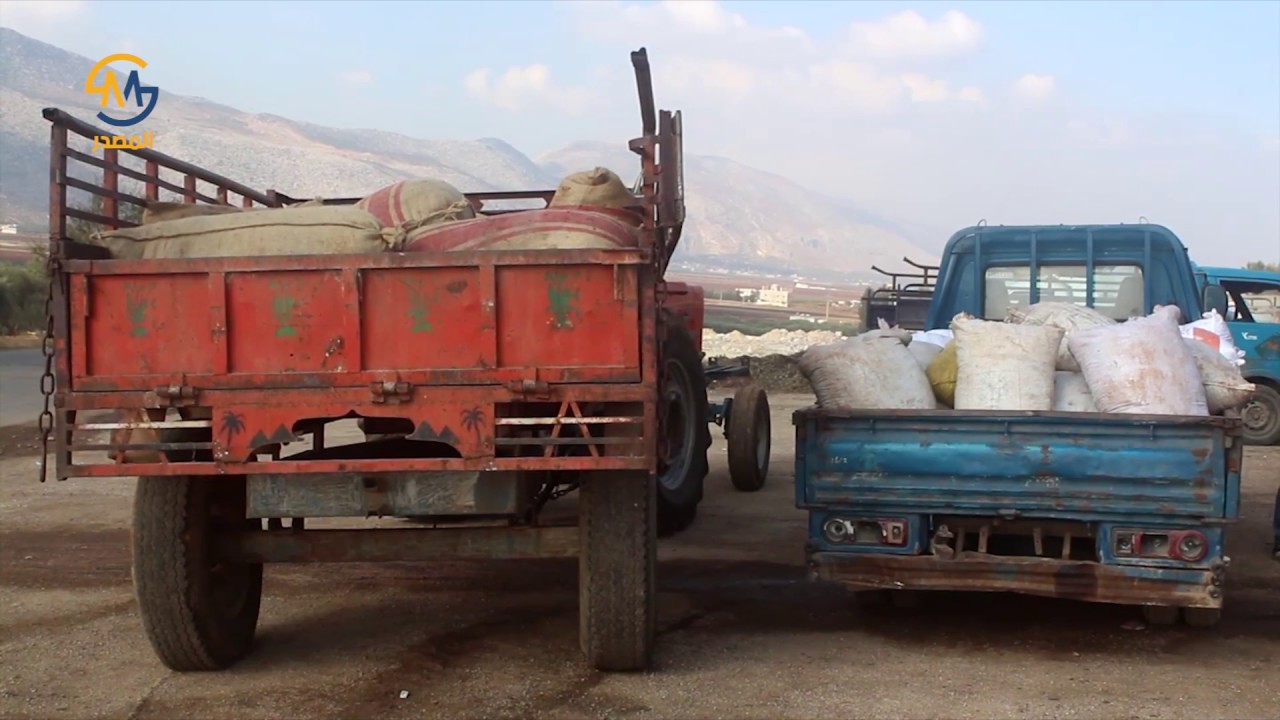 معاصر الزيتون.. عمل مستمر  بموسم الزيتون في إدلب الخضراء - وكالة المصدر