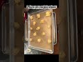 Vanilla Peanut Butter Protein Cookies (VPB) Q12026