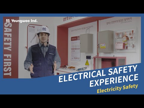 Electrical Safety Experience