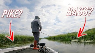 Finding BASS on 90 miles of Mississippi River in 3 Days  BASS Nation Northern Regional 2021