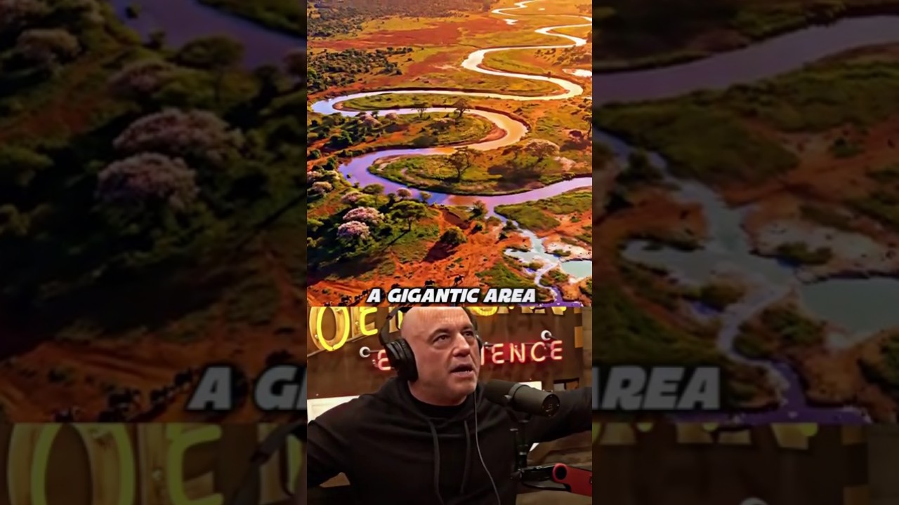 Джо Роган о том, почему зоопарки — это тюрьмы.