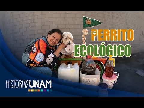 SALMY, EL PERRITO QUE MANEJA SUSTENTABLEMENTE EL ACEITE USADO