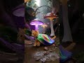 Chase the Magic Cat in a Glowing Mushroom Forest!