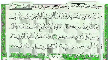 ســـــورة لقمان كاملة مع القراءة من المصحف الشريف للقارئ ادريس ابكر جودة عالية نسخ جديدة